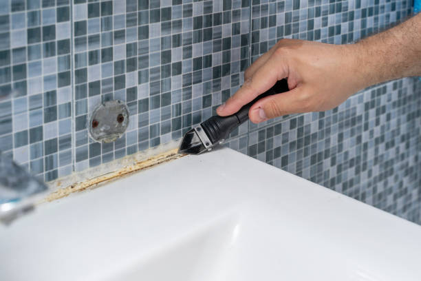 Best Home Mold Removal  in Junction City, KY