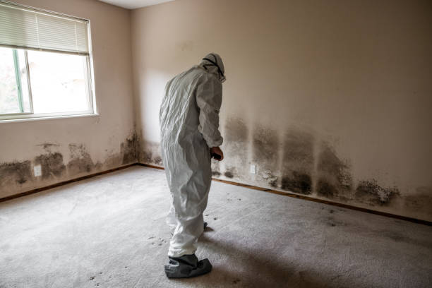 Water Damage Restoration in Junction City, KY